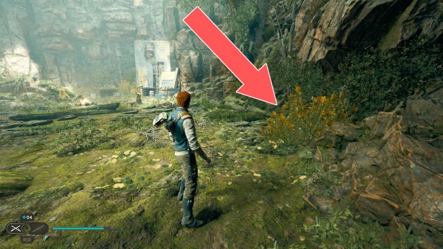 Basalt Rift Seed Pod 3/5