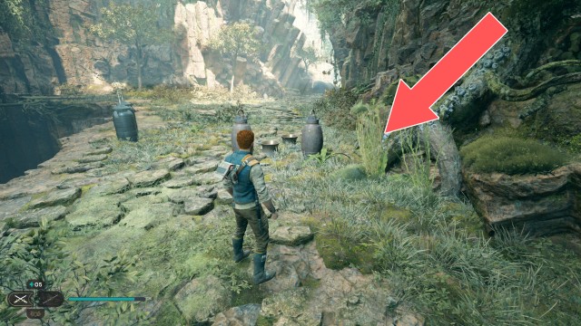 Bilemaw Den Seed Pod 1/1