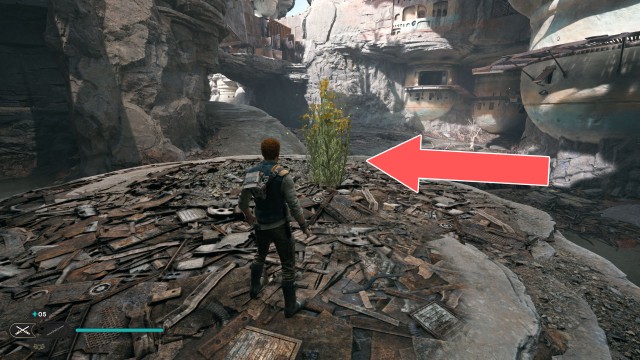 Bygone Settlement Seed Pod 2/3