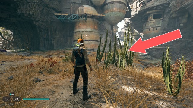 Bygone Settlement Seed Pod 1/3