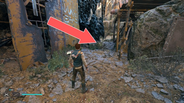 Derelict Dam Seed Pod 1/13