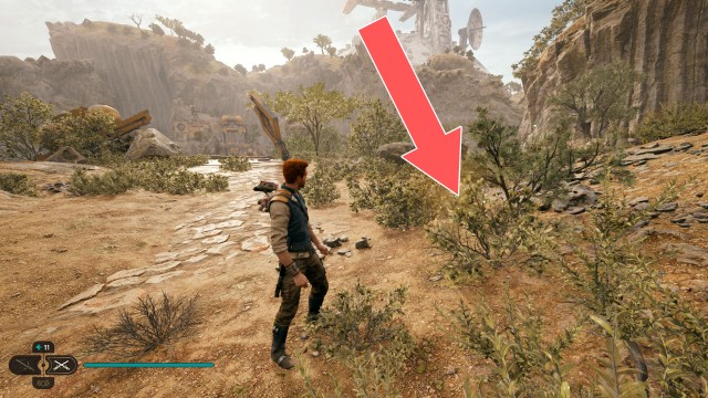 Derelict Dam Seed Pod 11/13