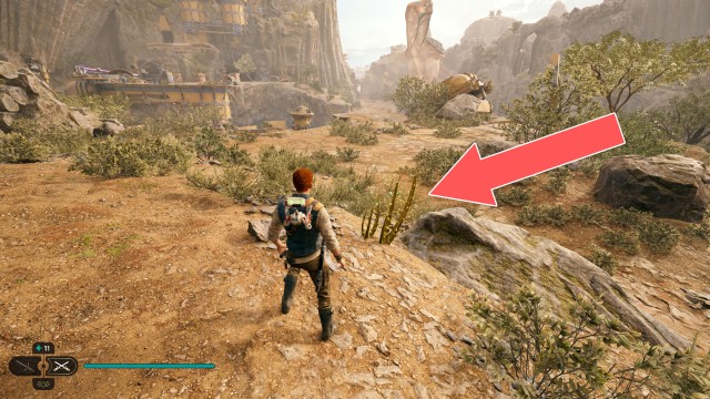 Derelict Dam Seed Pod 12/13