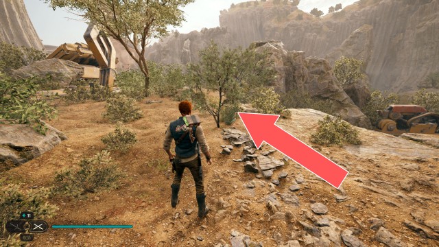 Derelict Dam Seed Pod 13/13