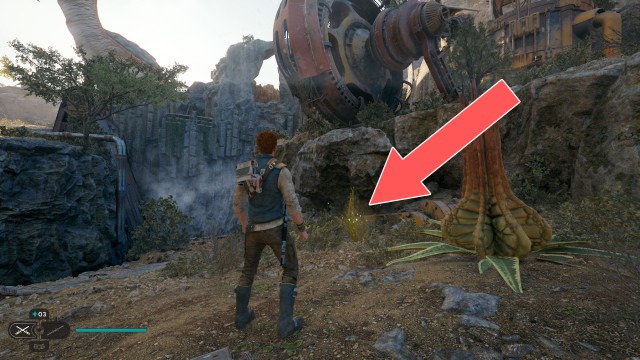 Derelict Dam Seed Pod 2/13