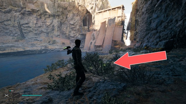 Derelict Dam Seed Pod 3/13