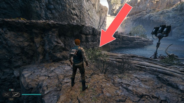 Derelict Dam Seed Pod 4/13