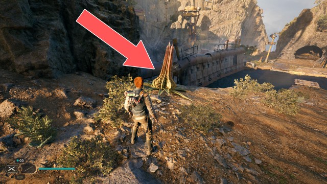 Derelict Dam Seed Pod 5/13