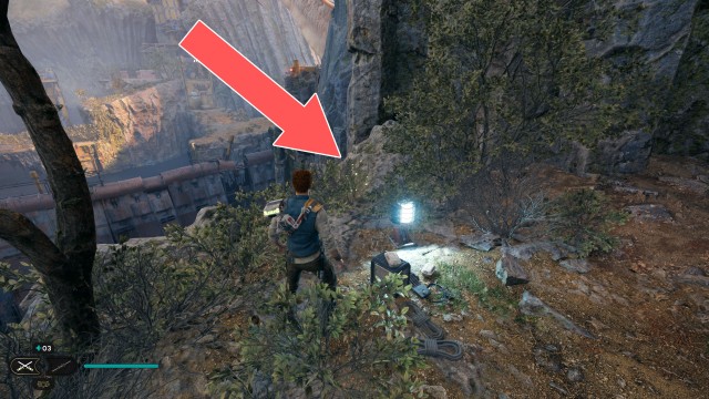 Derelict Dam Seed Pod 6/13