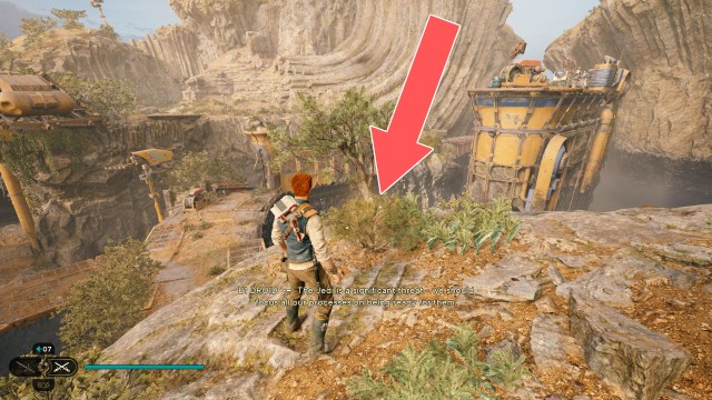 Derelict Dam Seed Pod 7/13