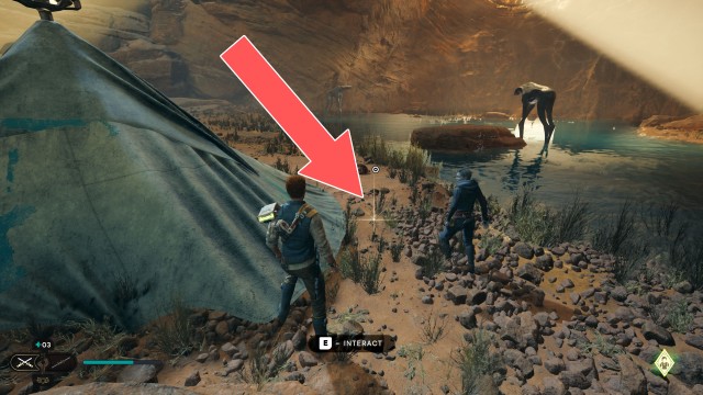 Divine Oasis Treasure 1/2