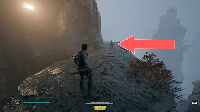 Fogged Expanse Treasure 7/7