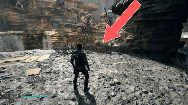 Foothill Falls Seed Pod 1/2