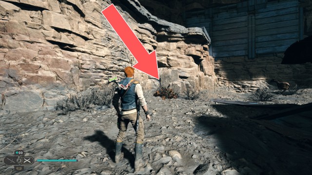 Foothill Falls Seed Pod 2/2