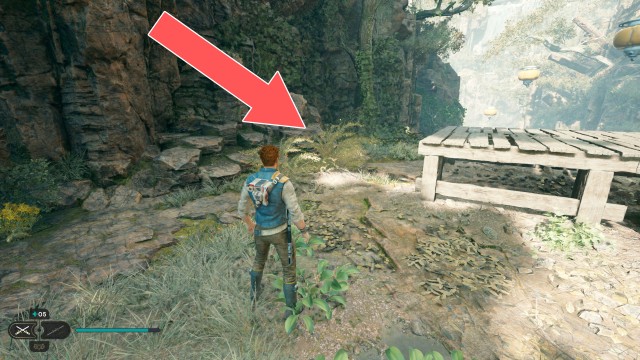 Forest Array Seed Pod 1/1