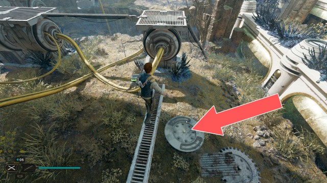 Forest Array Treasure 1/10