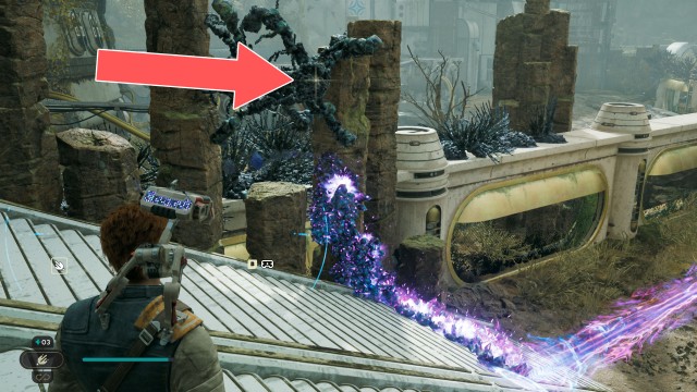 Forest Array Treasure 10/10