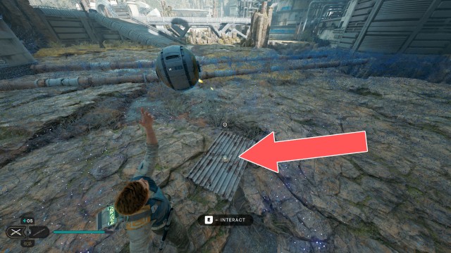 Forest Array Treasure 6/10