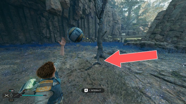 Forest Array Treasure 7/10