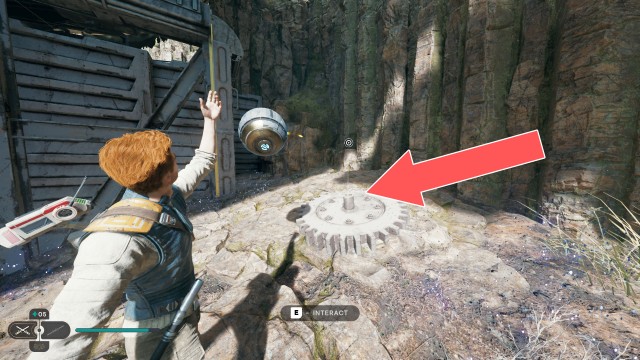 Forest Array Treasure 8/10