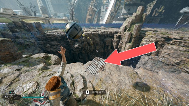 Forest Array Treasure 9/10