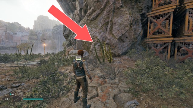 Gorge Crash Site Seed Pod 2/4