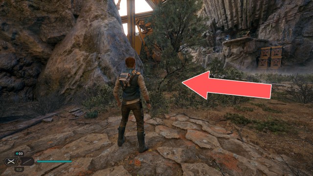 Gorge Crash Site Seed Pod 1/4