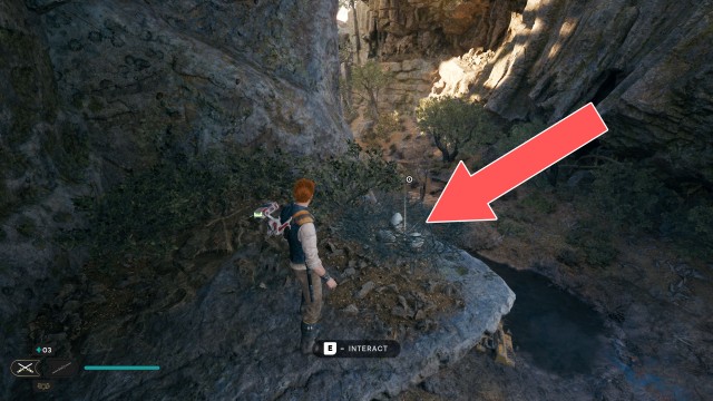 Gorge Crash Site Treasure 1/2