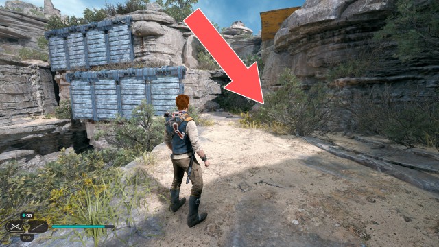 Harvest Ridge Seed Pod x/18