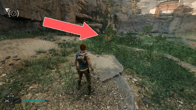 Harvest Ridge Seed Pod x/18