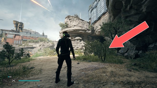 Harvest Ridge Seed Pod x/18