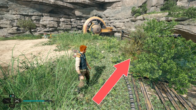 Harvest Ridge Seed Pod x/18