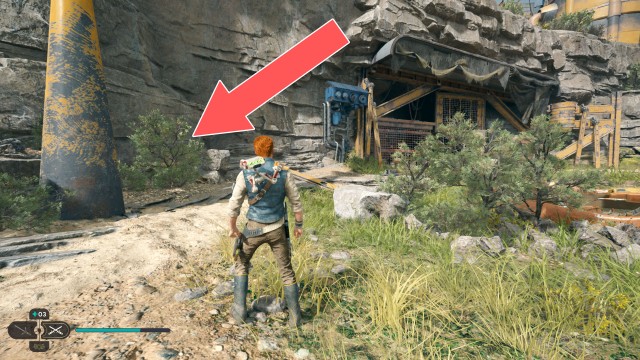 Harvest Ridge Seed Pod x/18