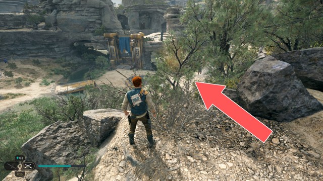 Harvest Ridge Seed Pod x/18