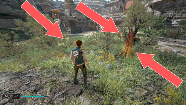 Harvest Ridge Seed Pod x/18