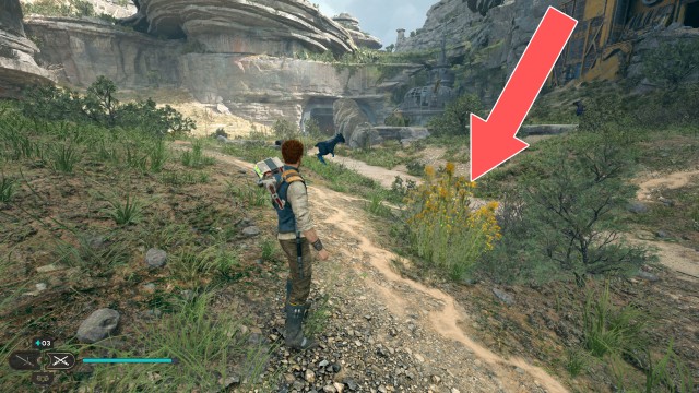 Hunter's Quarry Seed Pod 1/6