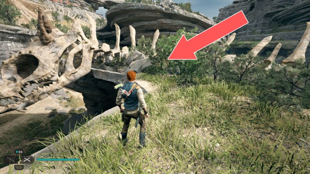 Hunter's Quarry Seed Pod 6/6