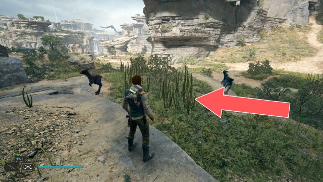 Hunter's Quarry Seed Pod 3/6