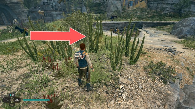 Hunter's Quarry Seed Pod 2/6