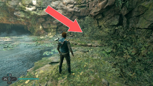 Nekko Pools Seed Pod 2/2