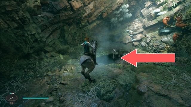 Nekko Pools Treasure 2/2