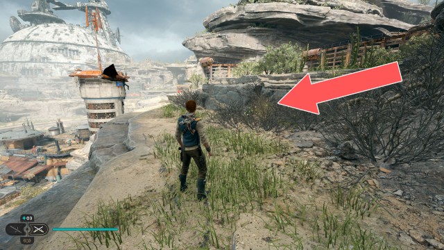 Rambler's Reach Outpost Seed Pod x/10