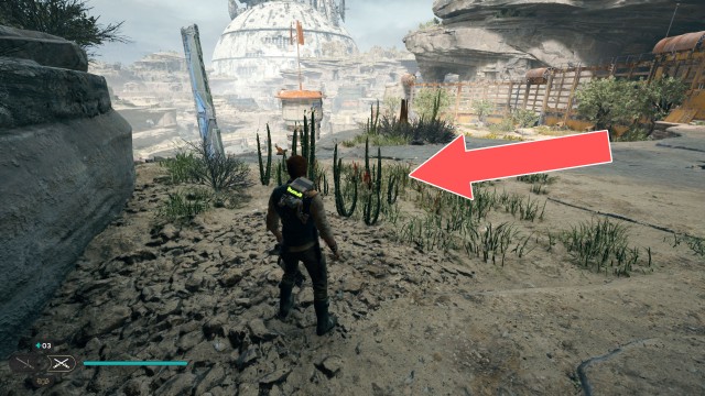 Rambler's Reach Outpost Seed Pod x/10