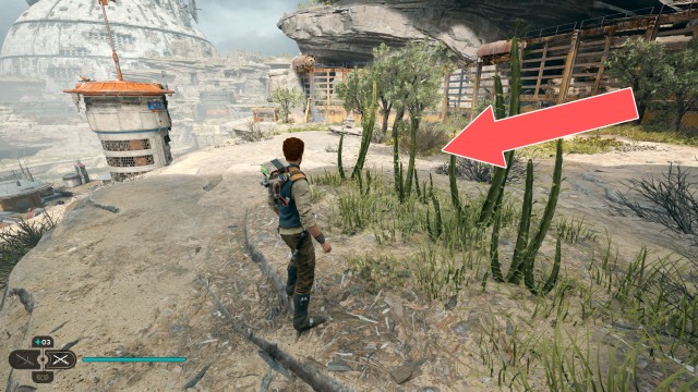 Rambler's Reach Outpost Seed Pod x/10