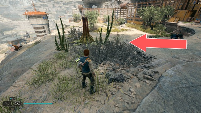 Rambler's Reach Outpost Seed Pod x/10