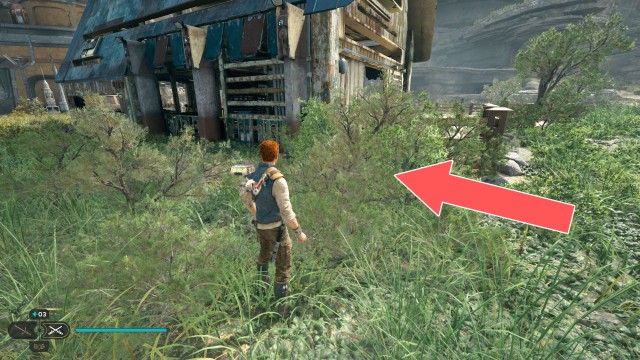 Rambler's Reach Outpost Seed Pod x/10