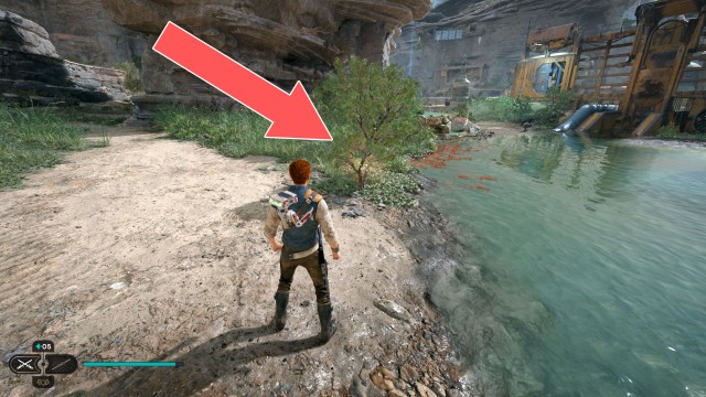 Riverbed Watch Seed Pod 2/4