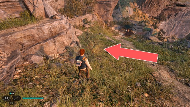 Southern Reach Seed Pod 1/19