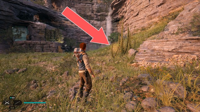 Southern Reach Seed Pod 2/19