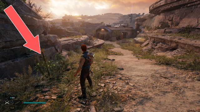 Southern Reach Seed Pod 3/19